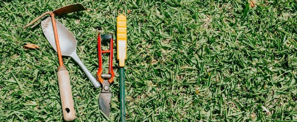 Garden Maintenance