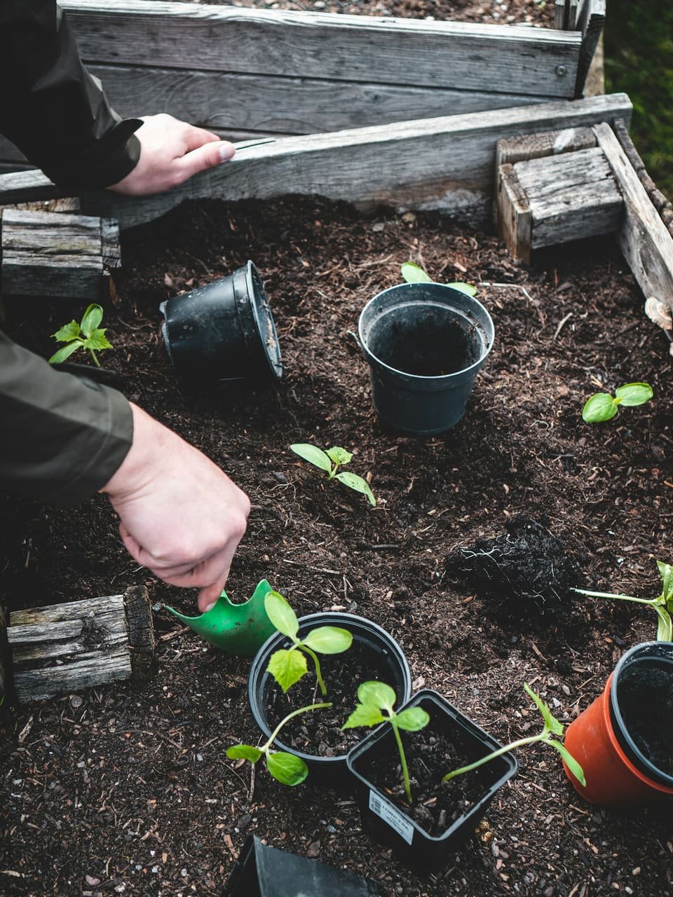 Gardening outdoors