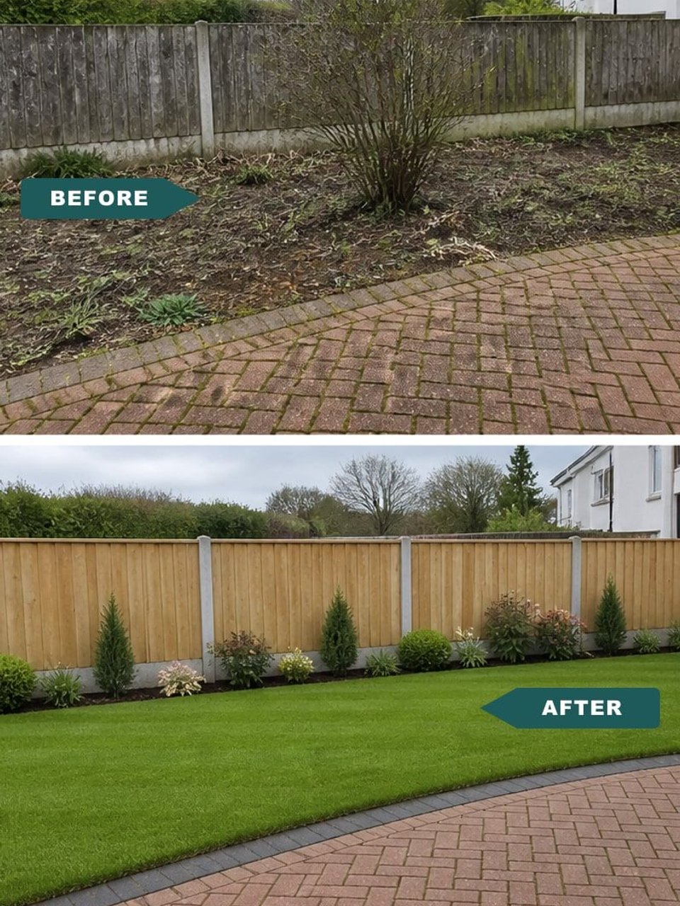 Before and after lawn transformation