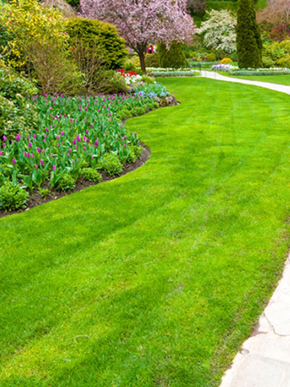 Landscaped garden with path and flower beds