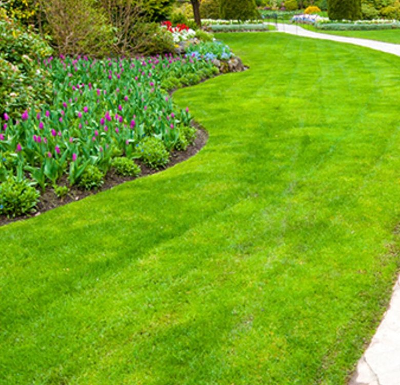 Landscaped garden with path and flower beds