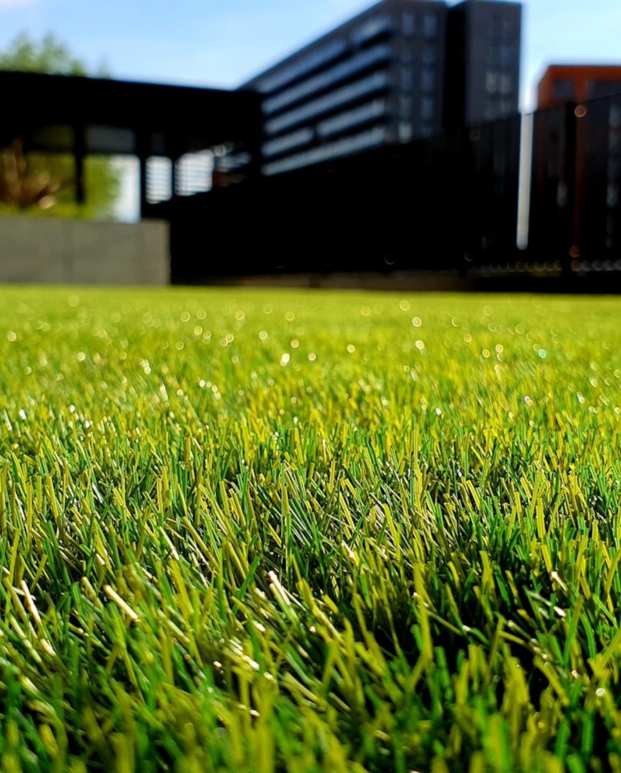 Manicured green lawn