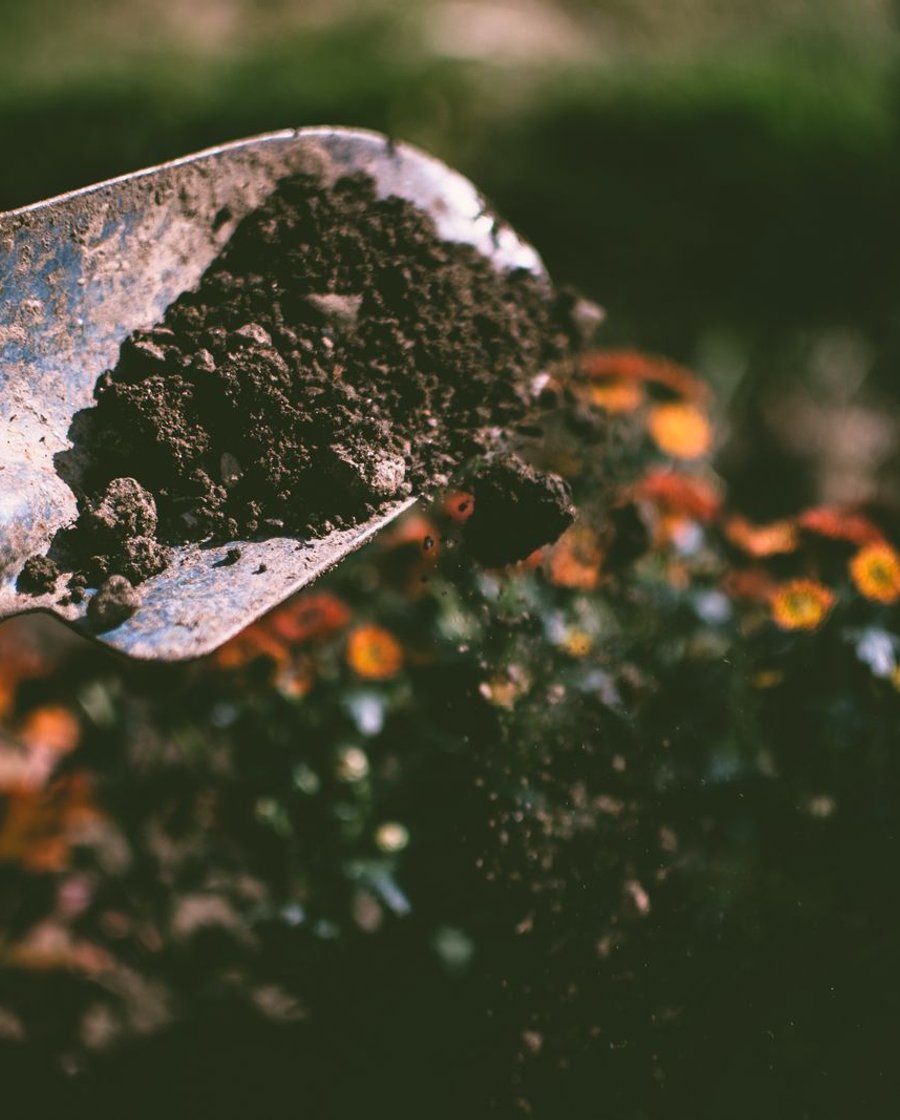 Gardening with trowel and soil