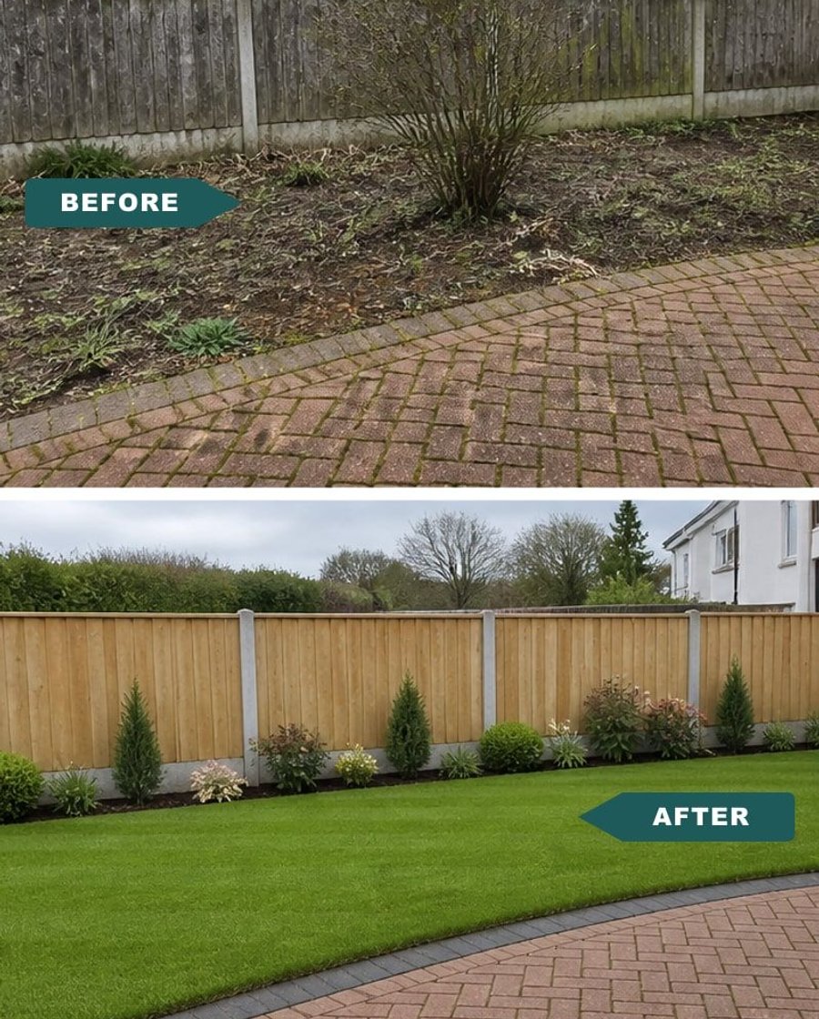Before and after lawn transformation